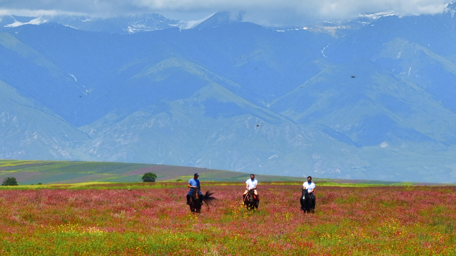 the mountains of Kyrgyzstan